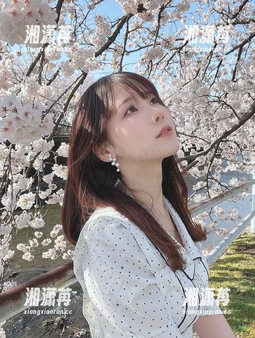最新图集大揭秘，けん研的C104honeyDL，清新与诱惑并存！