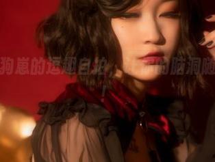 奇行家狗崽的逗趣自拍，让你的脑洞随风起舞！