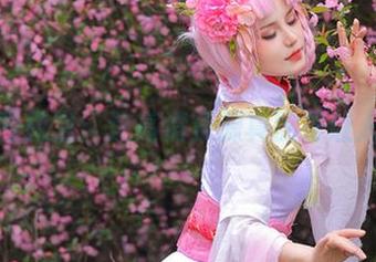 桃暖酱教室：这高清资源真的是让人心动