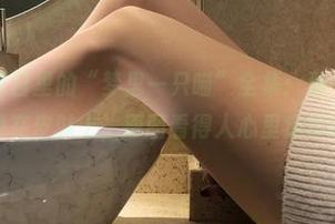 微密圈 - 夏日里的“梦里一只喵”全集：那一瞬间，阳光洒在皮肤上，原图看得人心里痒痒的。